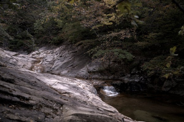 신경망 손실곡선의 세 번째 계곡