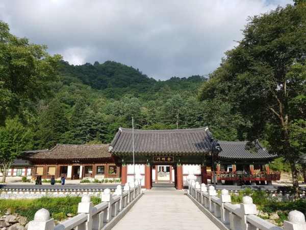 느린걷기자세교정